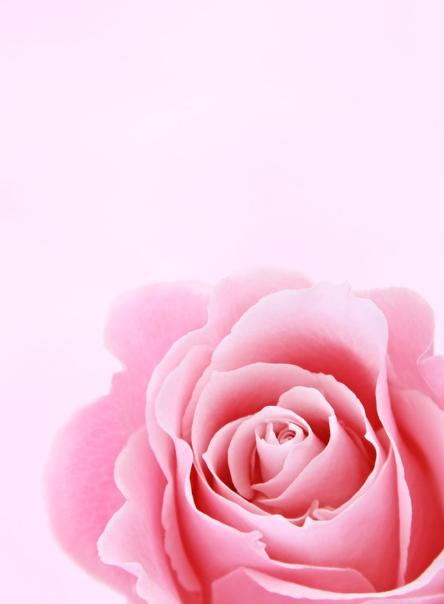 Rosa – Alleingeburt mit 4-Kilo-Baby