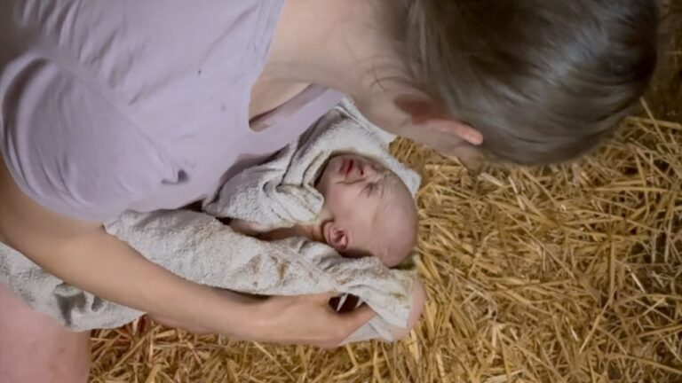Zehntes Kind, achte Alleingeburt – Geburt im Schafstall